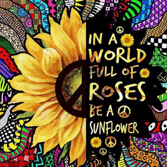 Meet your Posher, Bunny 🐇 - Picture 6 of 16